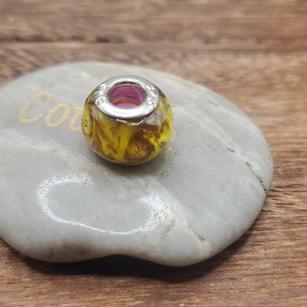 Tortoise‎ melt charm 925 sterling silver